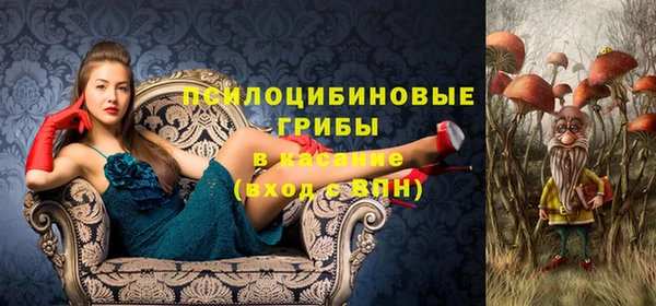 соль ск Алексеевка
