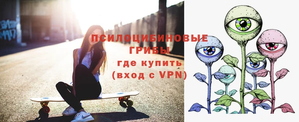 дурь Алзамай