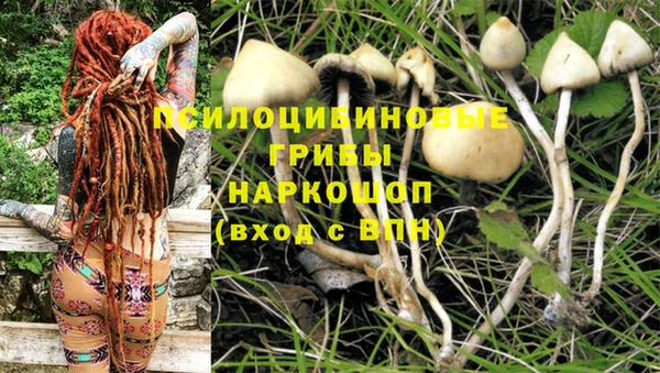 ГАЛЛЮЦИНОГЕННЫЕ ГРИБЫ Абинск