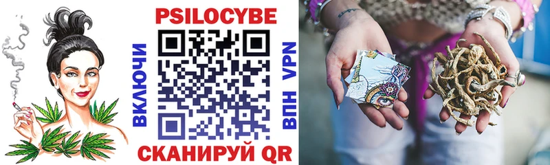 Псилоцибиновые грибы прущие грибы  Венёв 
